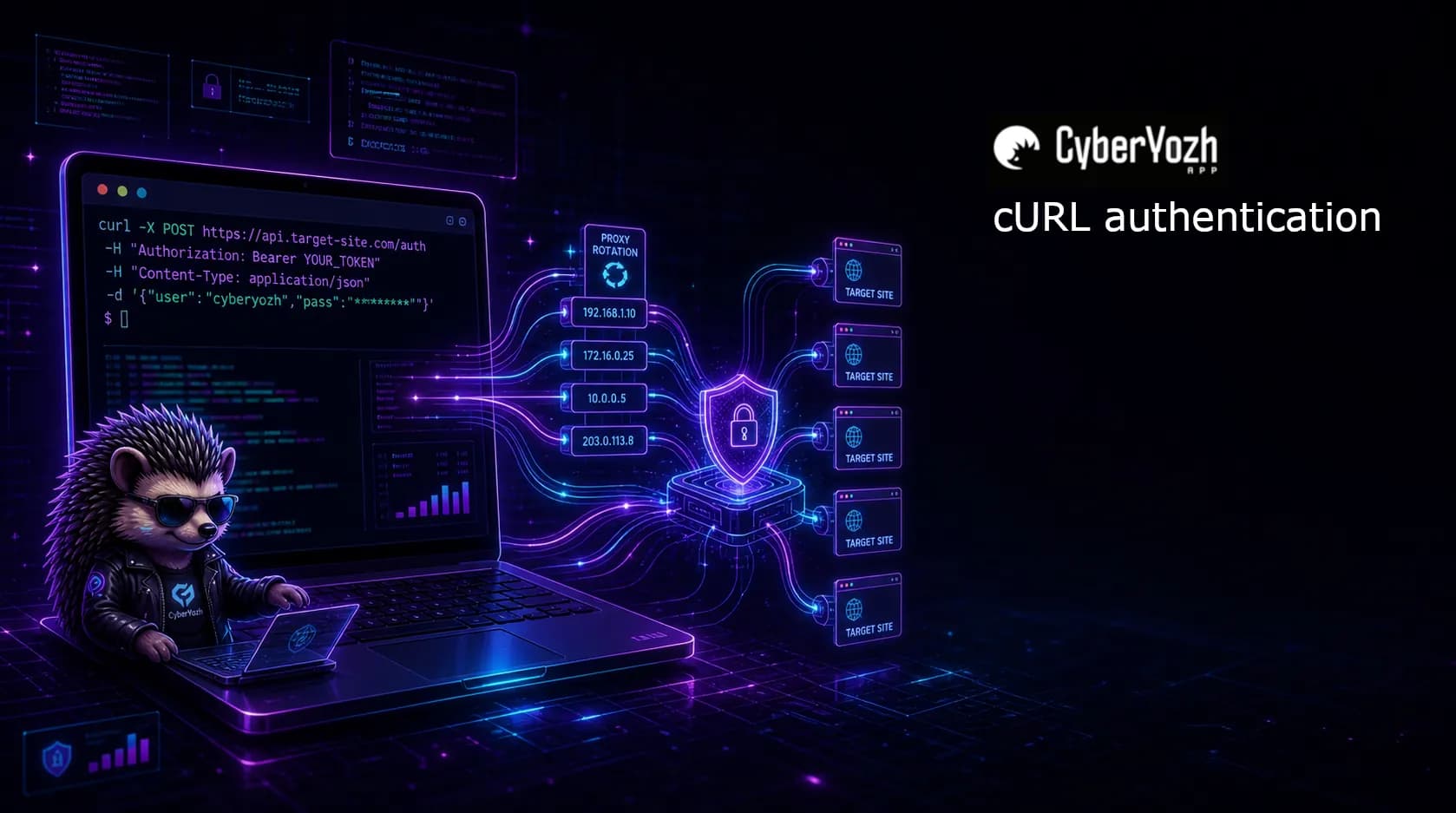 Cómo realizar la autenticación cURL