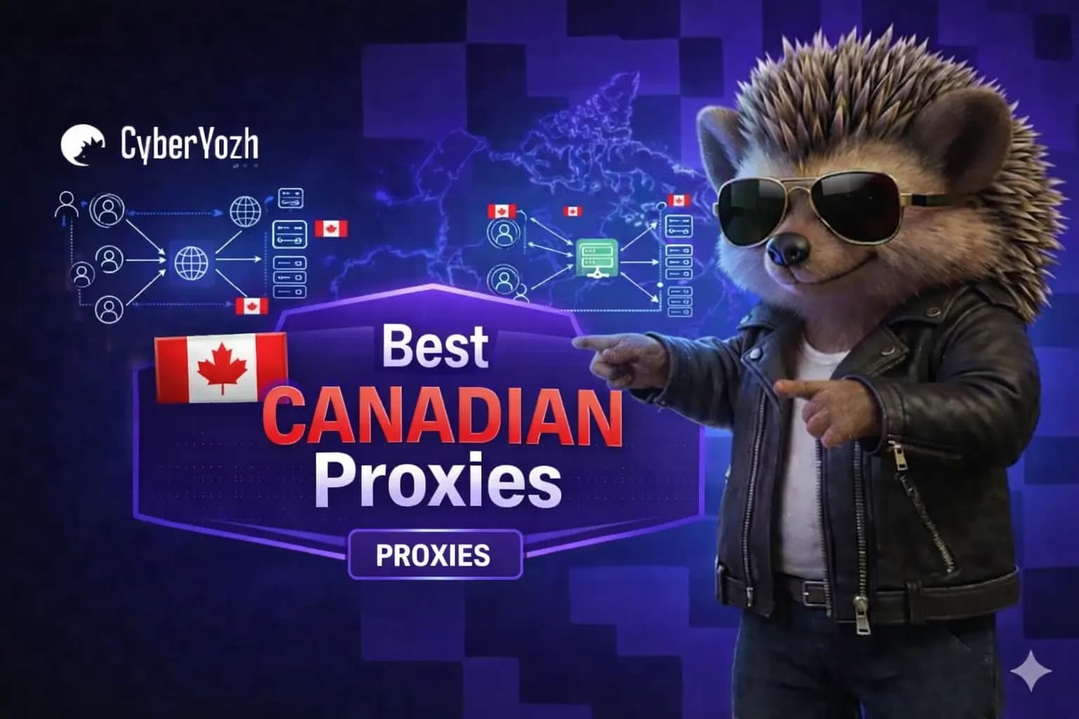 2026年8个最佳加拿大代理（排名和测试）