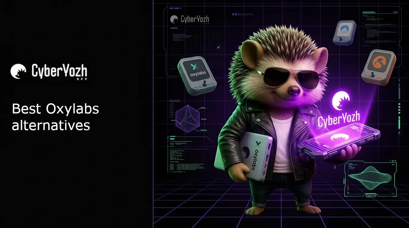 Top Oxylabs Alternatives: Selecting the best Proxy for Business