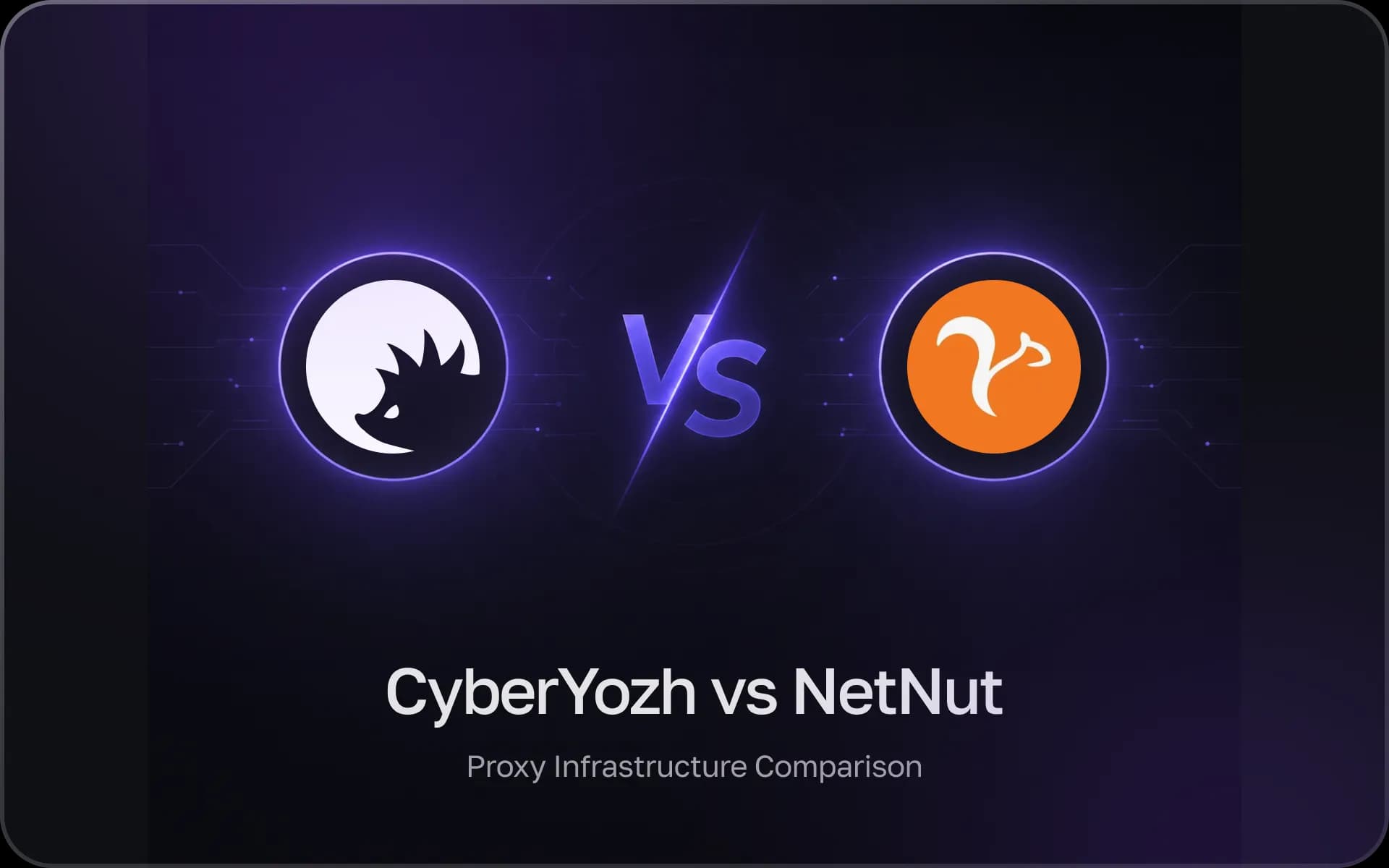 CyberYozh App 对比 NetNut
