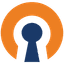 How to integrate CyberYozh App proxy with OpenVPN
