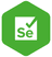 Selenium proxy