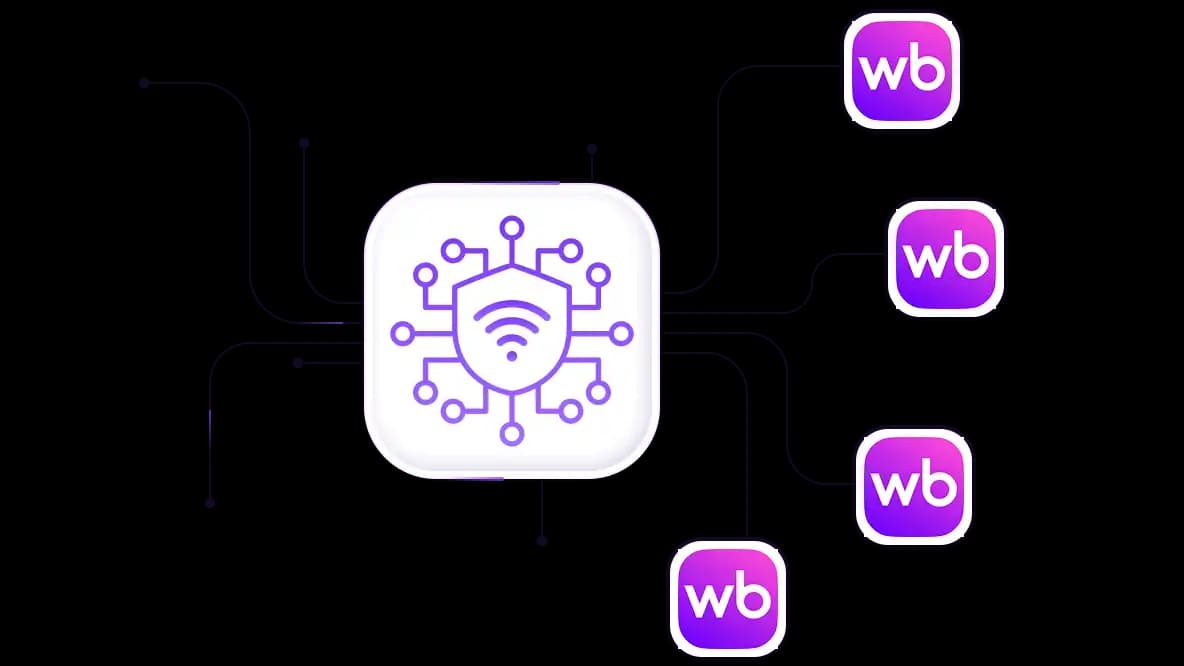 Gerencie várias contas da Wildberries com IPs dedicados