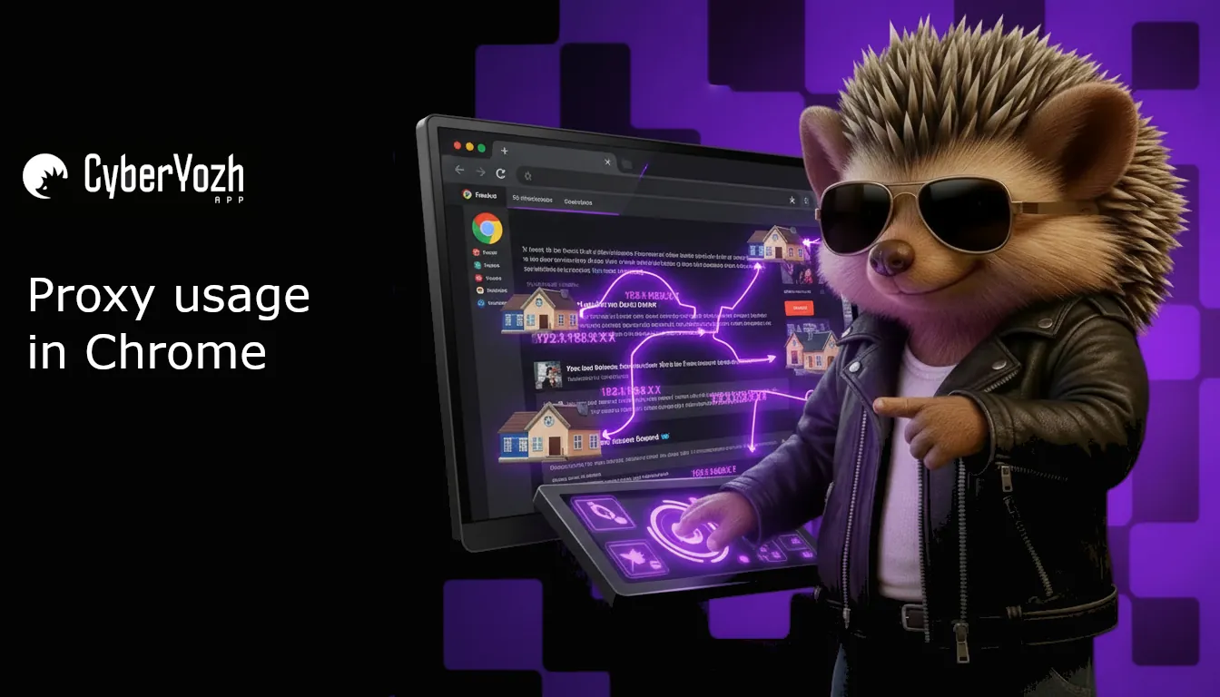 Proxy Server in Chrome: Installation and Usage