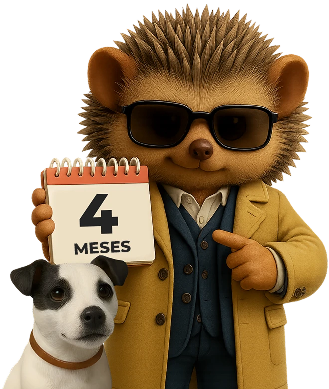 Imagem do bloco de Período do Concurso