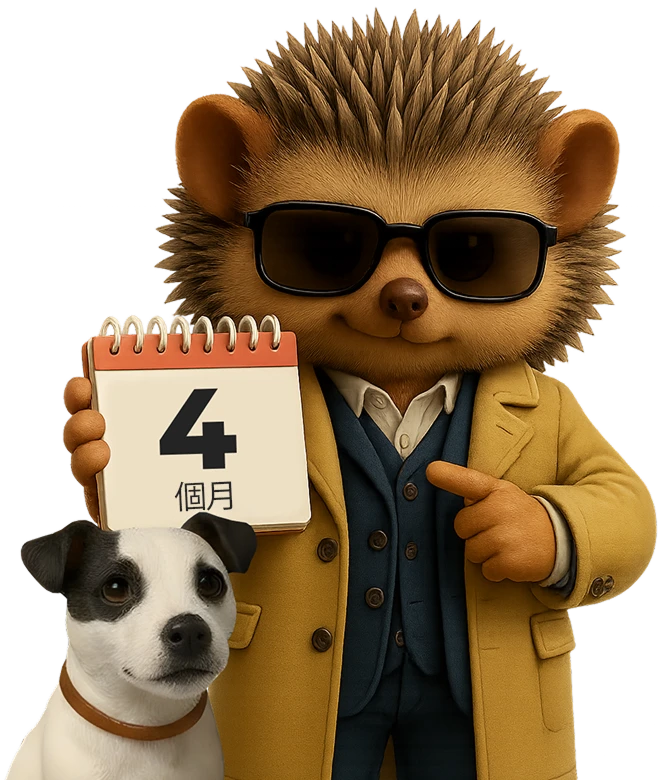 比赛期间块的图像